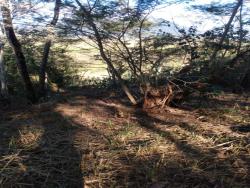 Terreno para Venda em Rio das Ostras - 5